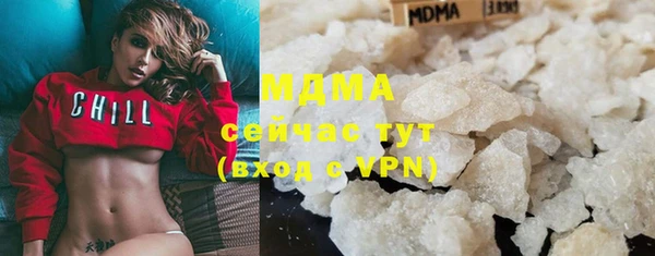прущие грибы Алагир