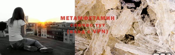 прущие грибы Алагир