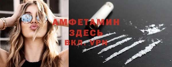 прущие грибы Алагир