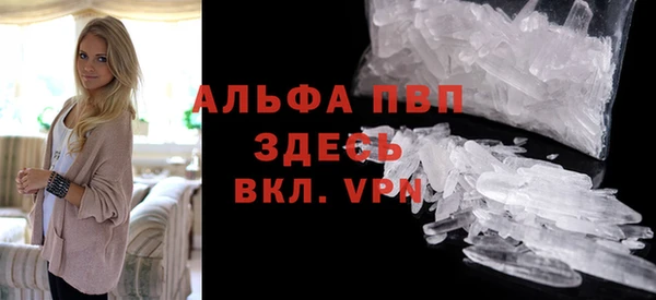 прущие грибы Алагир