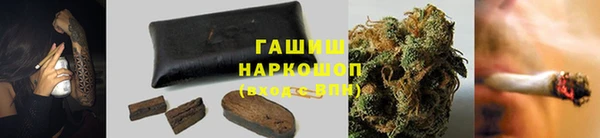 ГАЛЛЮЦИНОГЕННЫЕ ГРИБЫ Михайлов