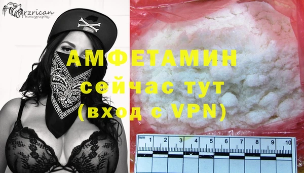 прущие грибы Алагир