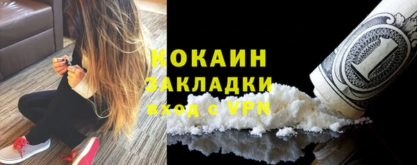 молекула духа Медвежьегорск